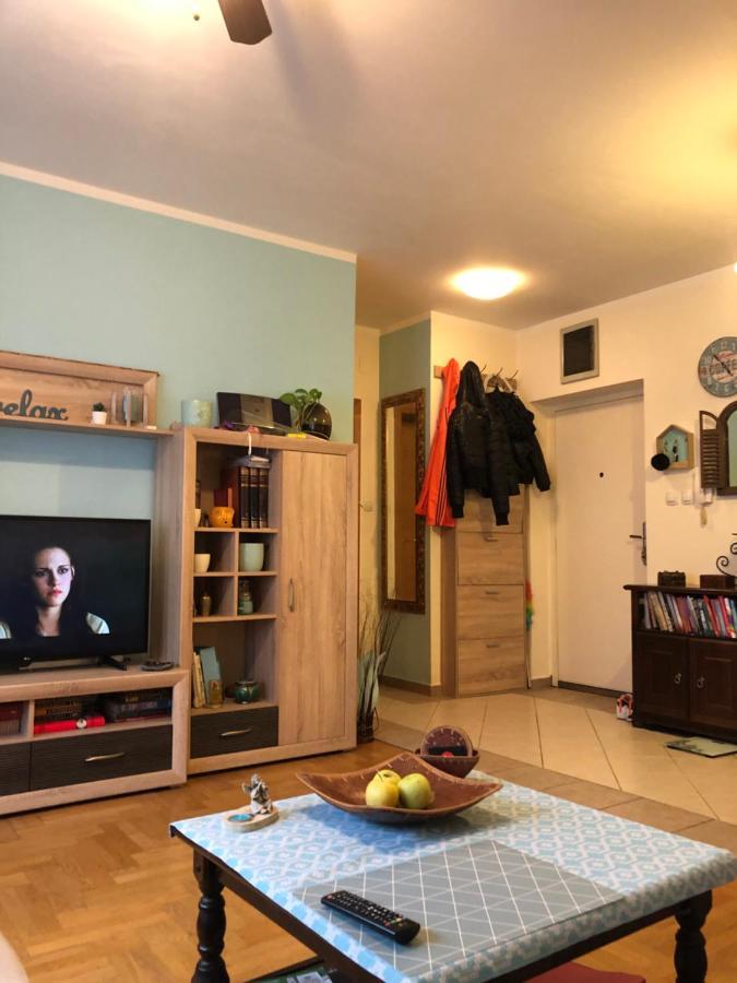 Cosy Apartment-Private Parking Zágráb Kültér fotó